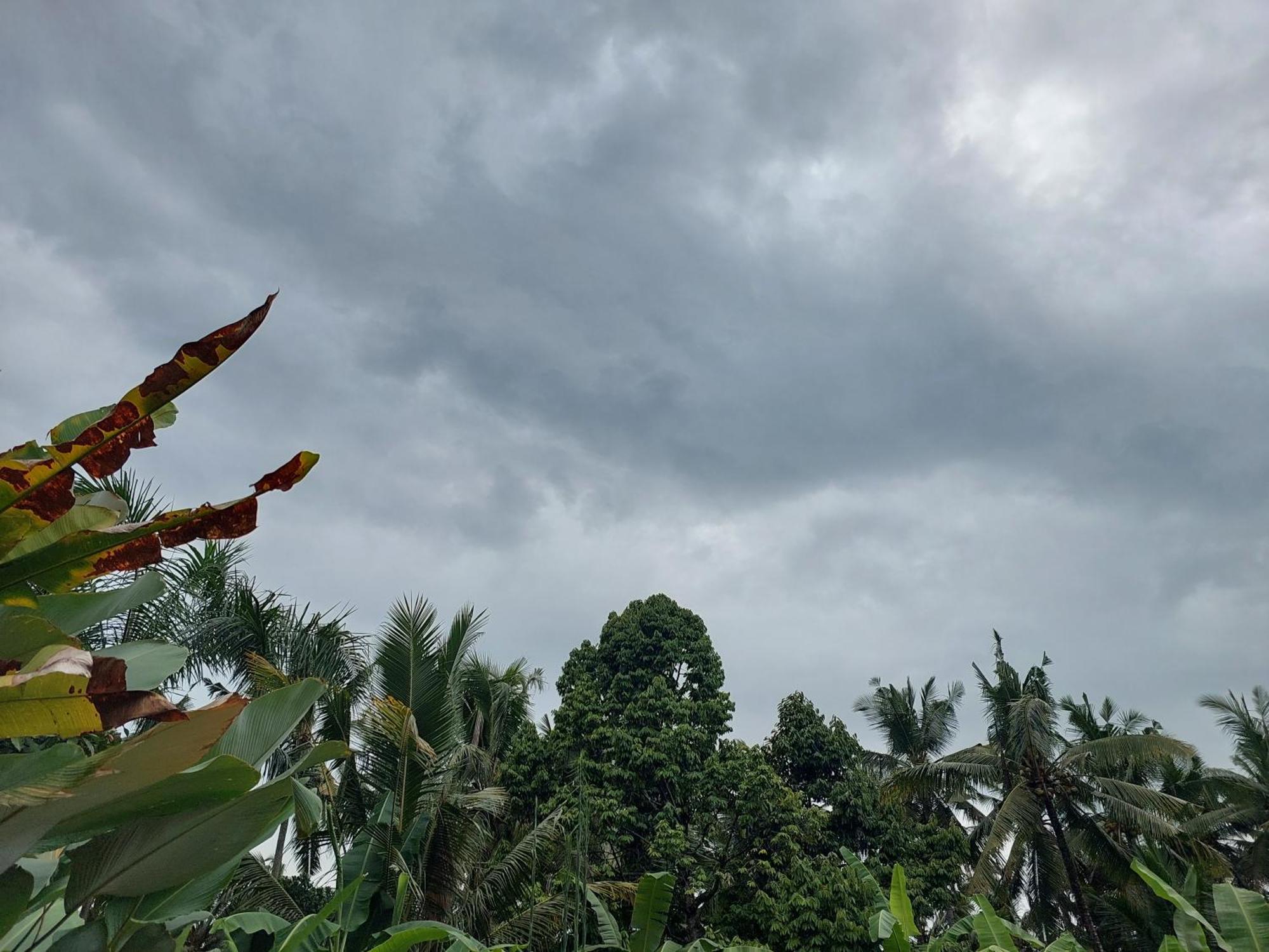 Prema Shiva Suites And Villas By Eps Ubud Eksteriør bilde